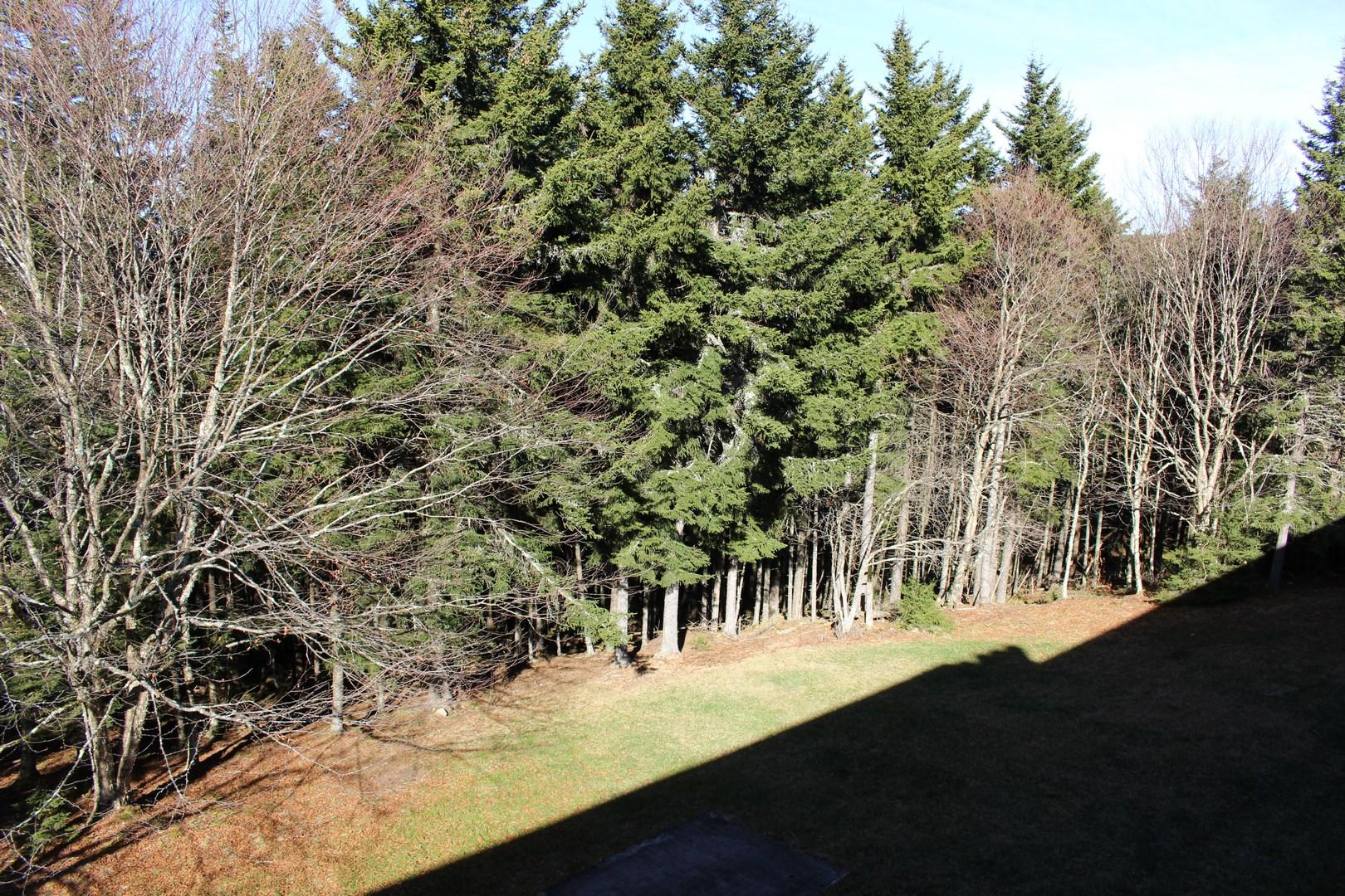 47 Ridgewood Street Snowshoe, WV 26209 - Photo 14 of 22 Gallery Image 14