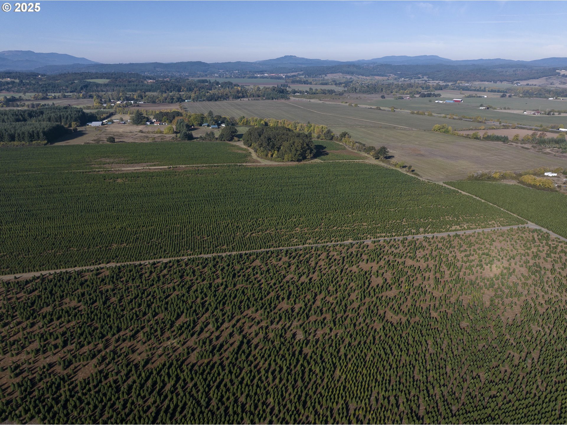25110 Southwest Red Prairie Road Sheridan, OR 97378 - Photo 27 of 32