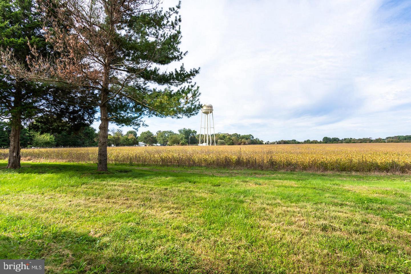 301 6th Street Ridgely, MD 21660 - Photo 10 of 18 Backyard overlooking farmland