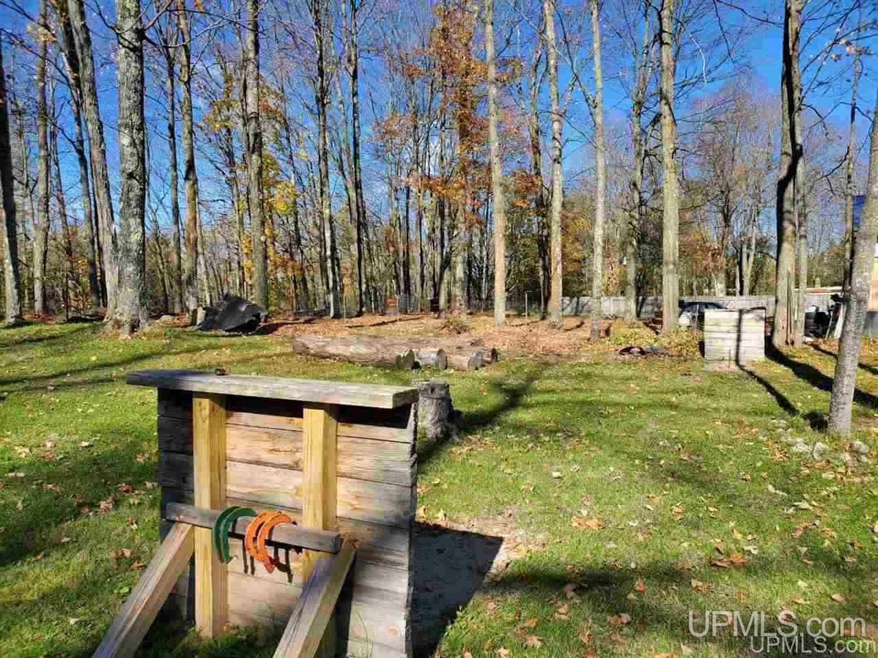 N1145 East T Road Trenary, MI 49891 - Photo 29 of 30