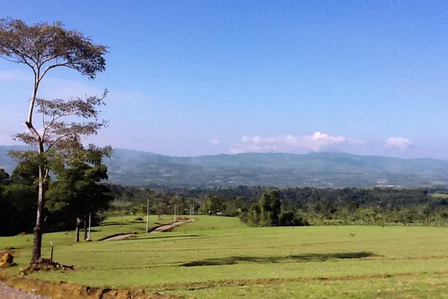 a view of an ocean and a mountain