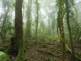 a sign that is on a bunch of flowers