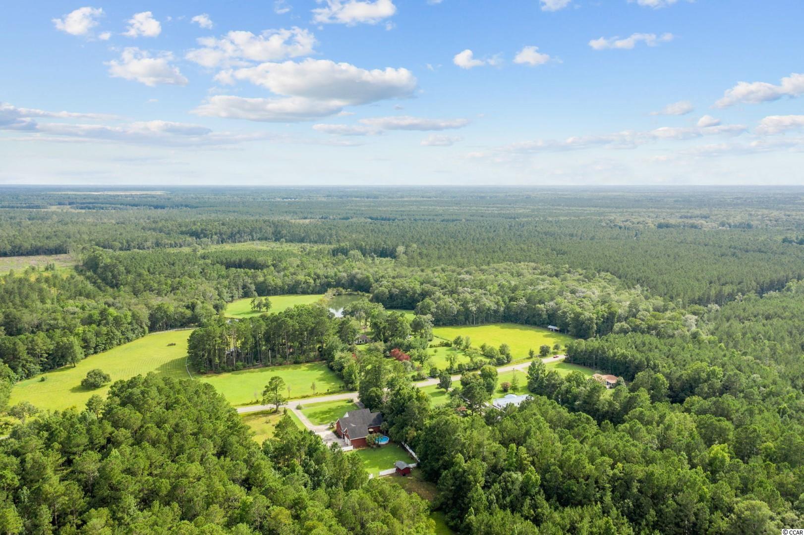 4551 Old Reaves Ferry Road Conway, SC 29526 - Photo 29 of 38 Gallery Image 29