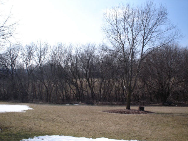 928 Butternut Bend Davis, IL 61019 - Photo 2 of 22 a view of outdoor space with trees