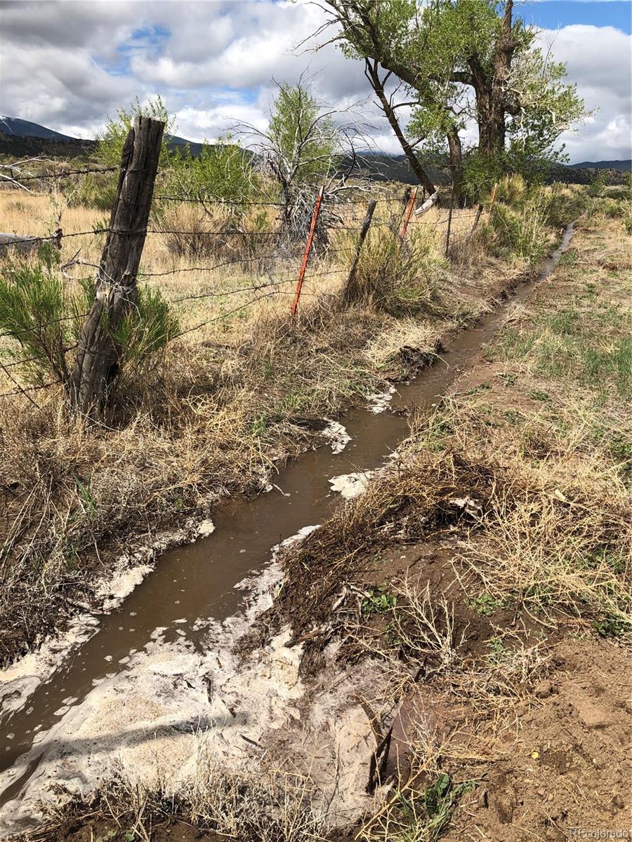 County Road Gardner, CO 81040 - Photo 2 of 16 a view of a tree with a yard
