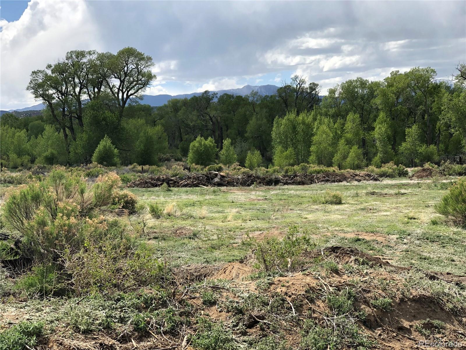 County Road Gardner, CO 81040 - Photo 5 of 16 a view of a yard with a tree