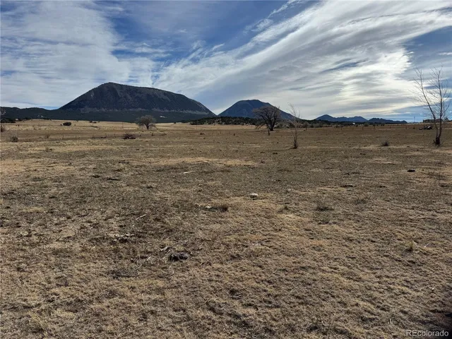 a view of a lake in middle of forest