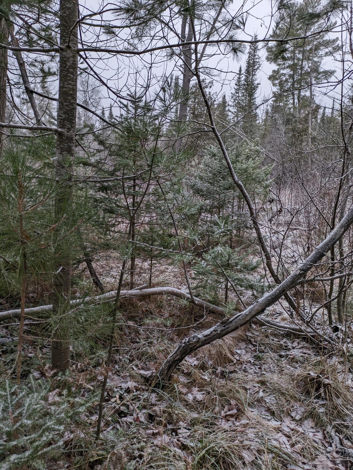 12642 Airport Road Atlanta, MI 49709 - Photo 41 of 105 Gallery Image 41