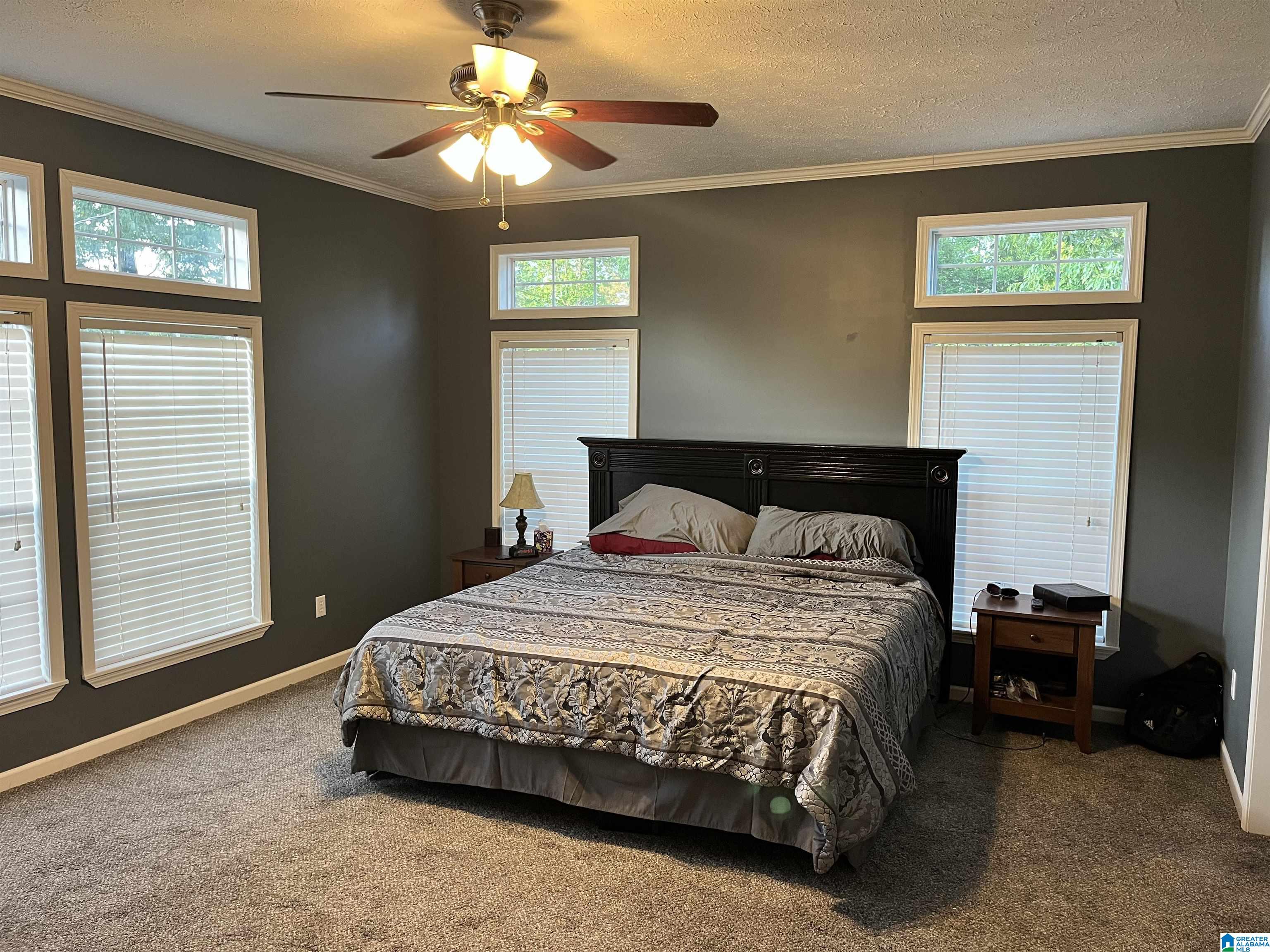 1672 Mt Moriah Road Pell City, AL 35125 - Photo 19 of 34