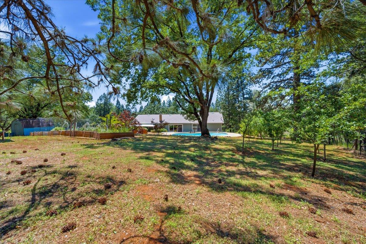 10704 Round Valley Road Grass Valley, CA 95949 - Photo 41 of 56