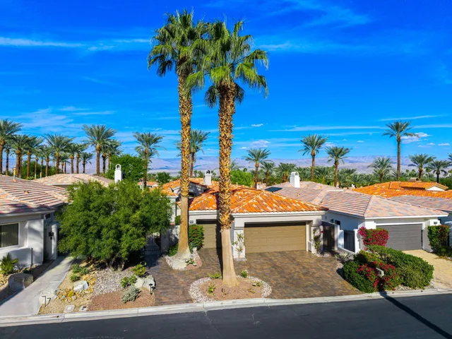a palm tree sitting in front of a building