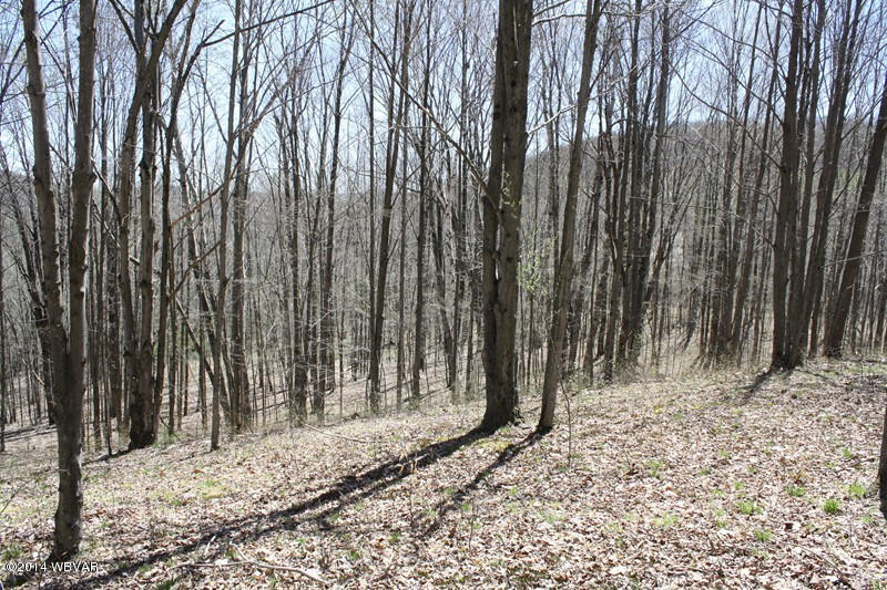 480 Trowbridge Station Road Millerton, PA 16936 - Photo 37 of 77 126390-37