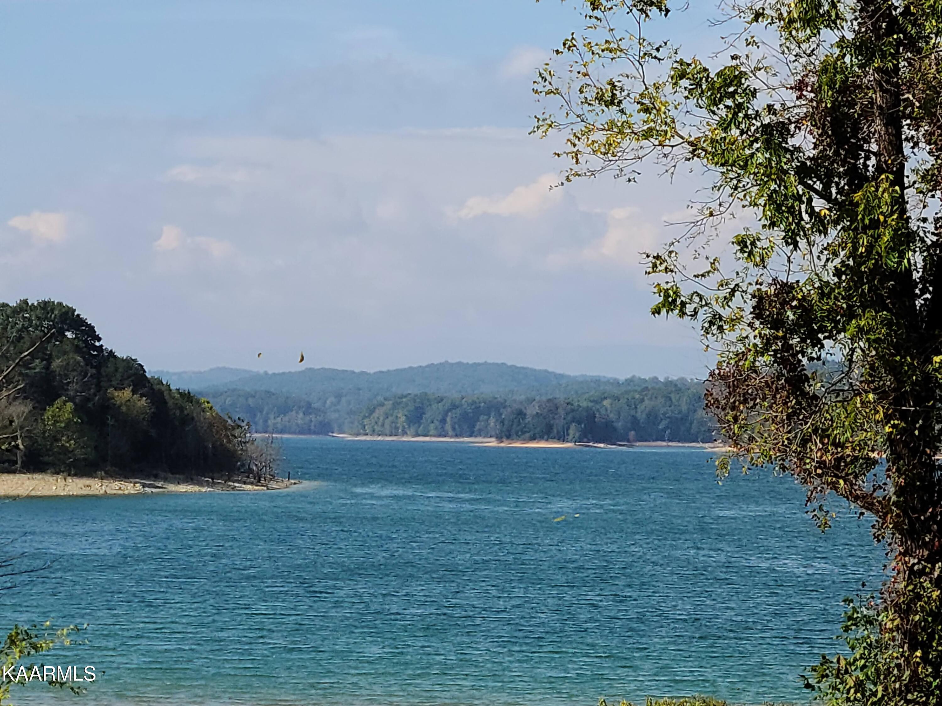 452 Regina's Point Sharps Chapel, TN 37866 - Photo 21 of 44 20211015_115525