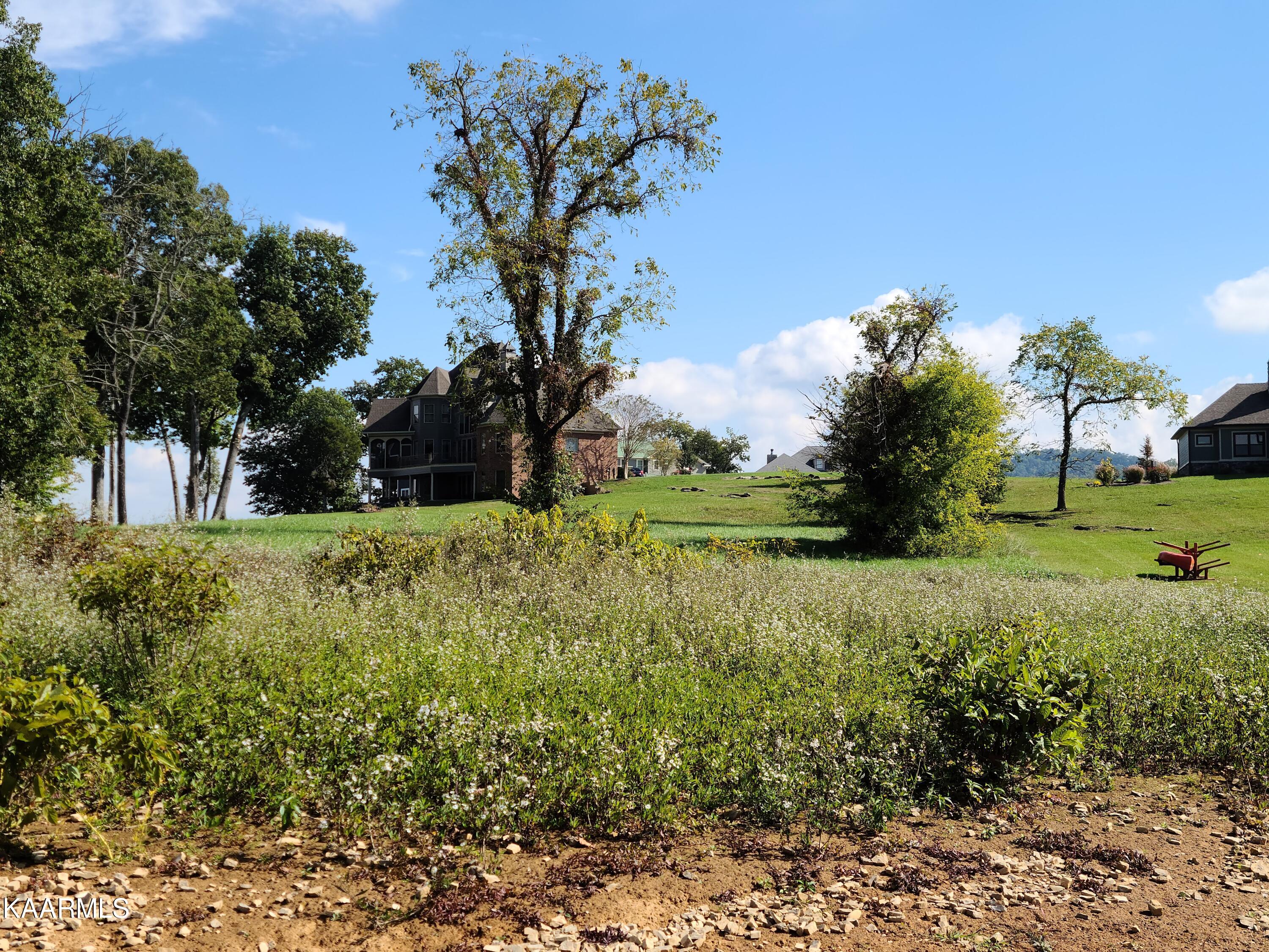 452 Regina's Point Sharps Chapel, TN 37866 - Photo 24 of 44 20211015_115847