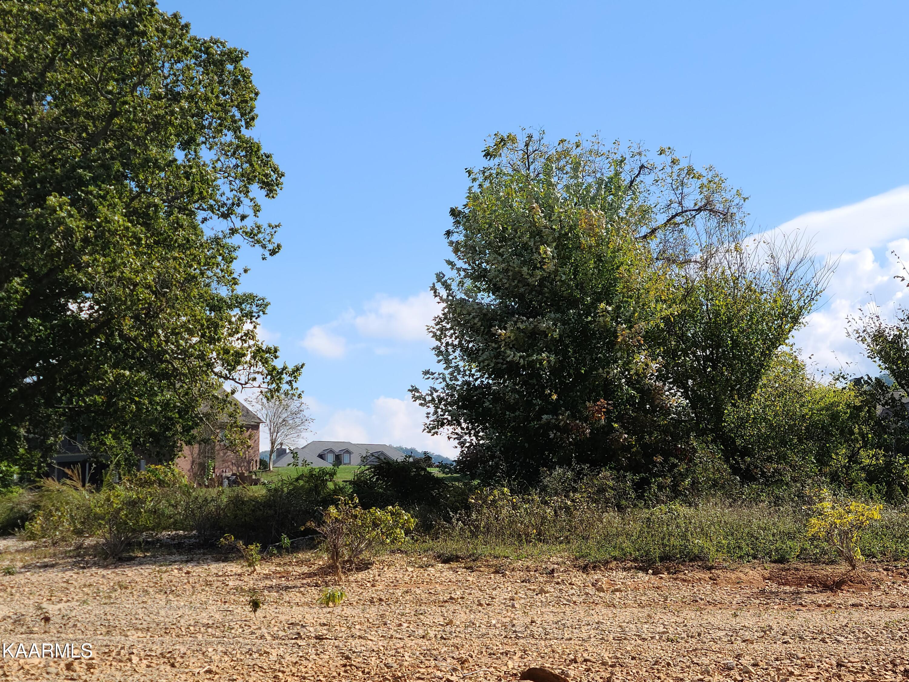 452 Regina's Point Sharps Chapel, TN 37866 - Photo 26 of 44 20211015_115950