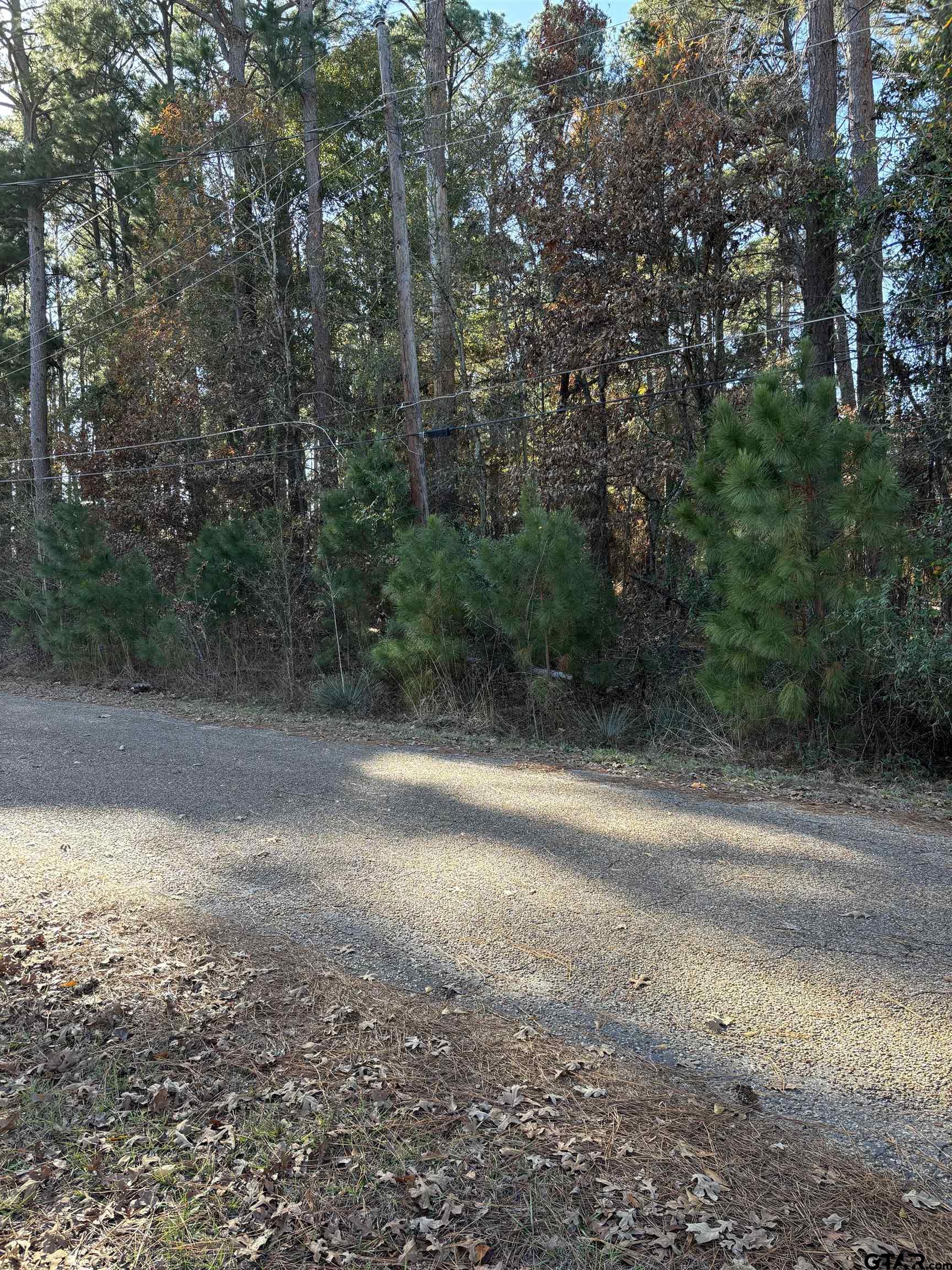 Lot 25 Briar Grove Road Murchison, TX 75778 - Photo 2 of 7 a view of a yard with a tree