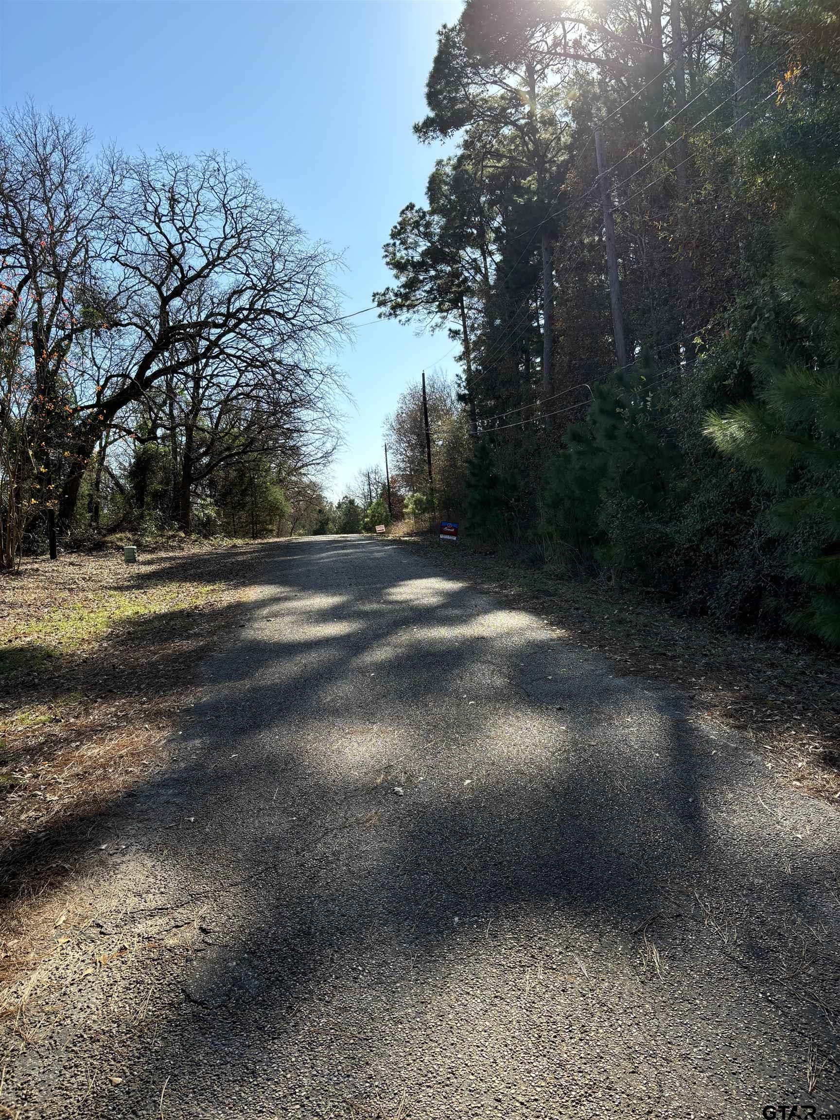 Lot 25 Briar Grove Road Murchison, TX 75778 - Photo 4 of 7 a view of a yard with trees