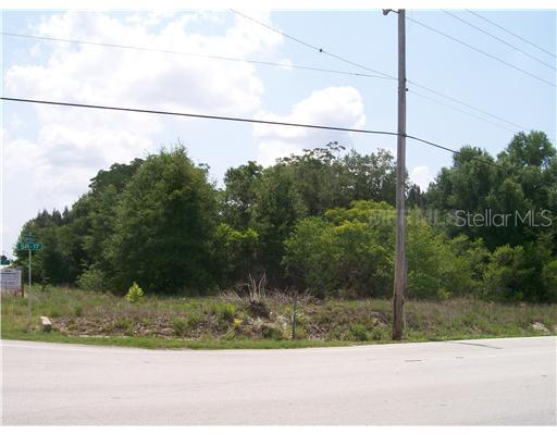 Hatchineha Road Haines City, FL 33844 - Photo 1 of 1 Exterior Front