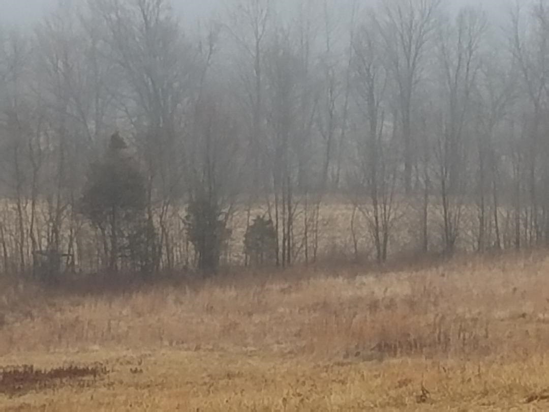 0 Harris Road Poland, IN 47868 - Photo 1 of 1