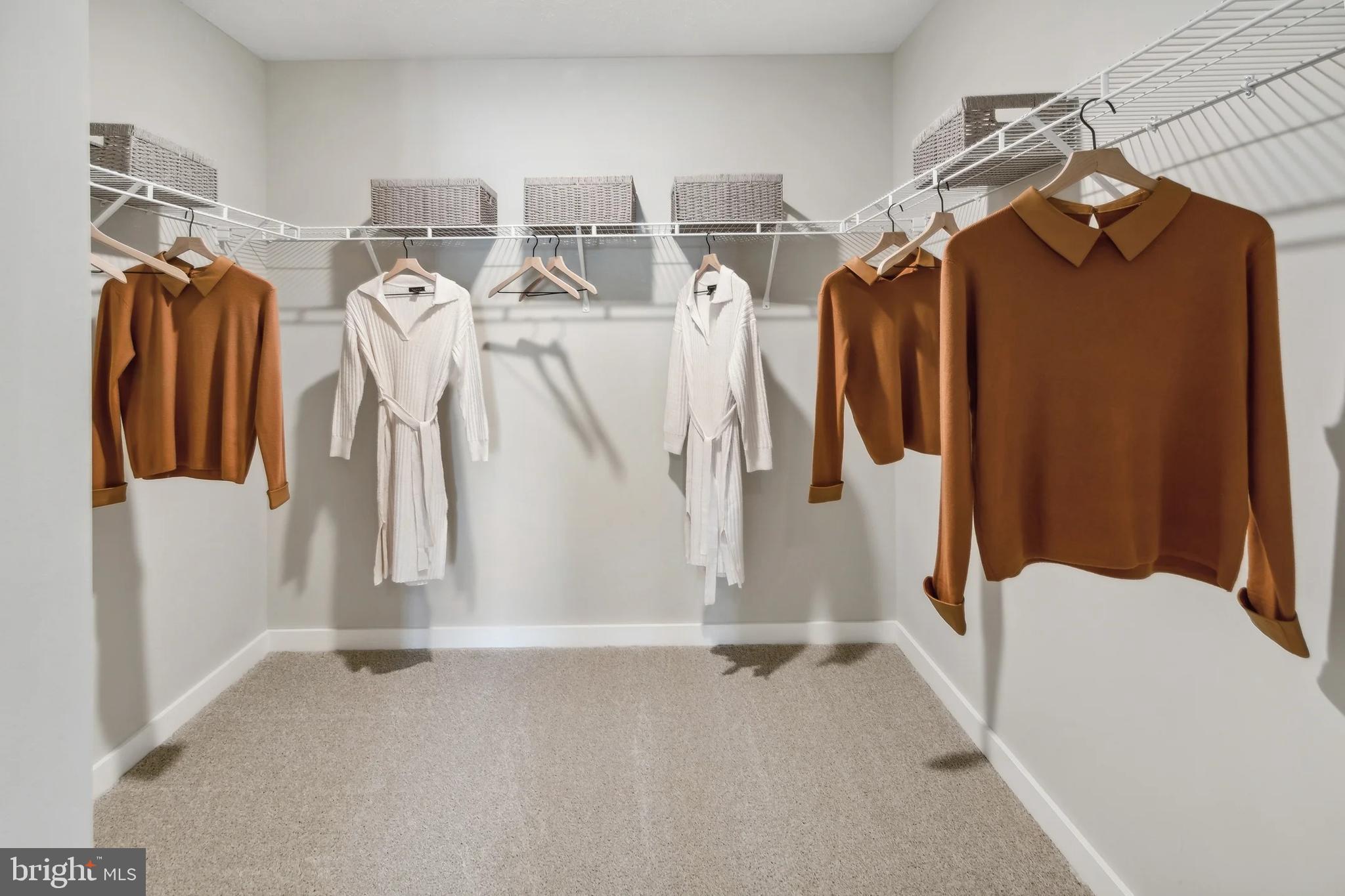 336 Gerry Street Ranson, WV 25438 - Photo 16 of 24 a view of walk in closet with clothes and shoes