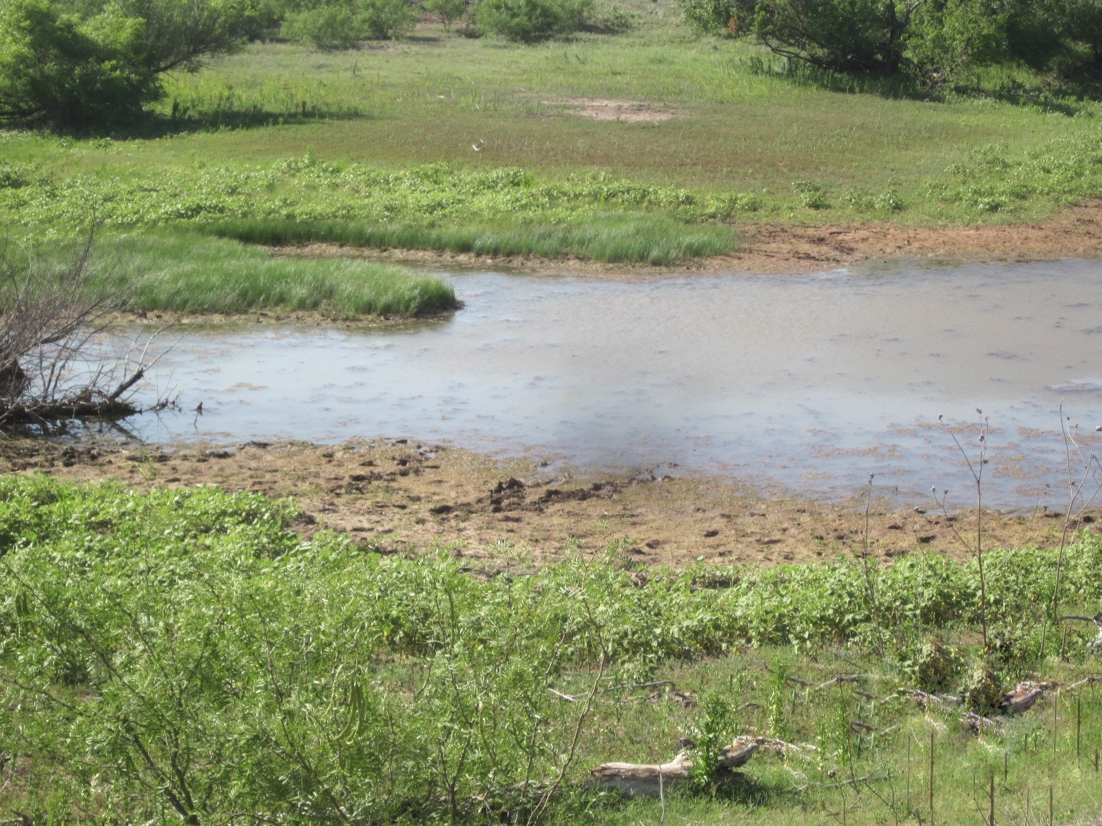Nka Buckle L Road Childress, TX 79201 - Photo 13 of 18