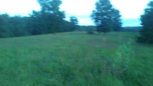 1160 Kelly Branch Road London, KY 40741 - Photo 34 of 49 Photo 34