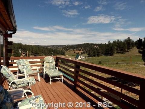 1443 Twin Rocks Road Florissant, CO 80816 - Photo 4 of 25