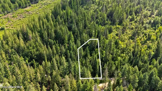 $49,500 | 3 Blk, Unit 8 1, Clark Fork, ID 83811
