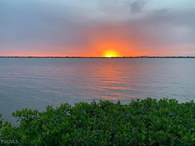 a view of a lake from a yard
