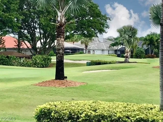 a view of a garden with a tree