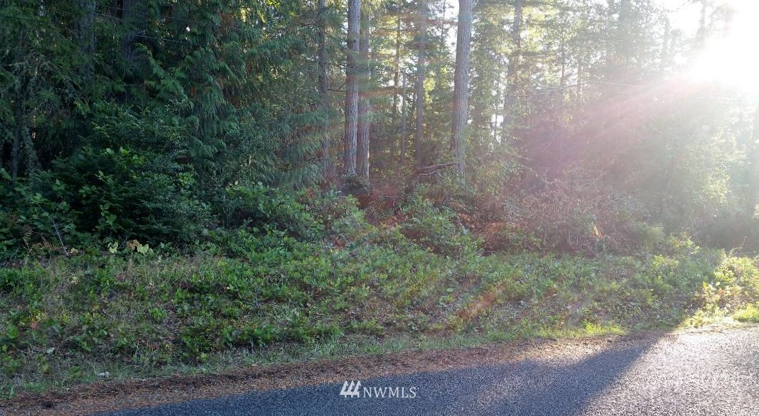 12412 Yoman Road Anderson Island, WA 98303 - Photo 1 of 5 Gallery Image 1