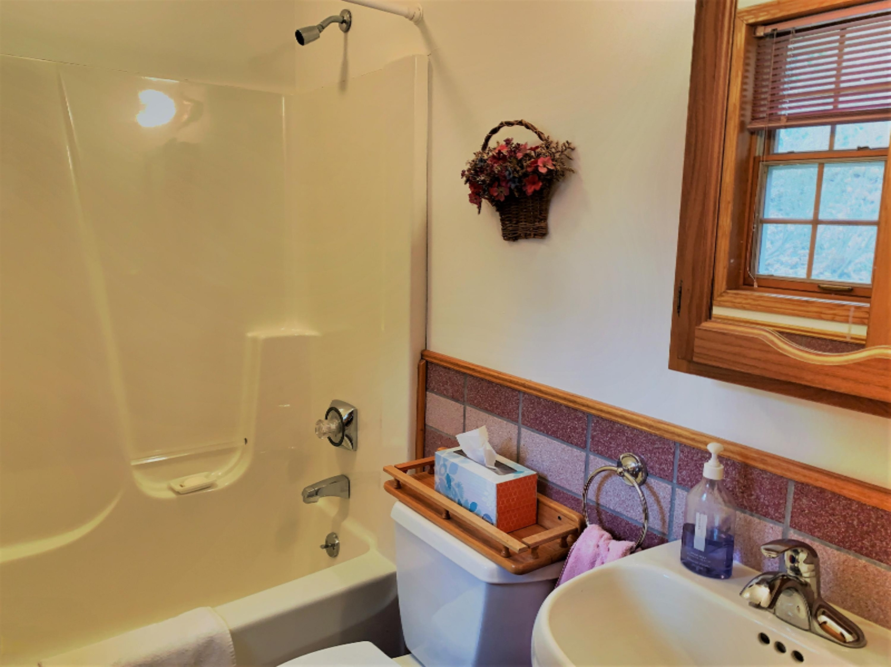 7953 Harbert Road Harbert, MI 49115 - Photo 17 of 22 IMG_1104 (002)