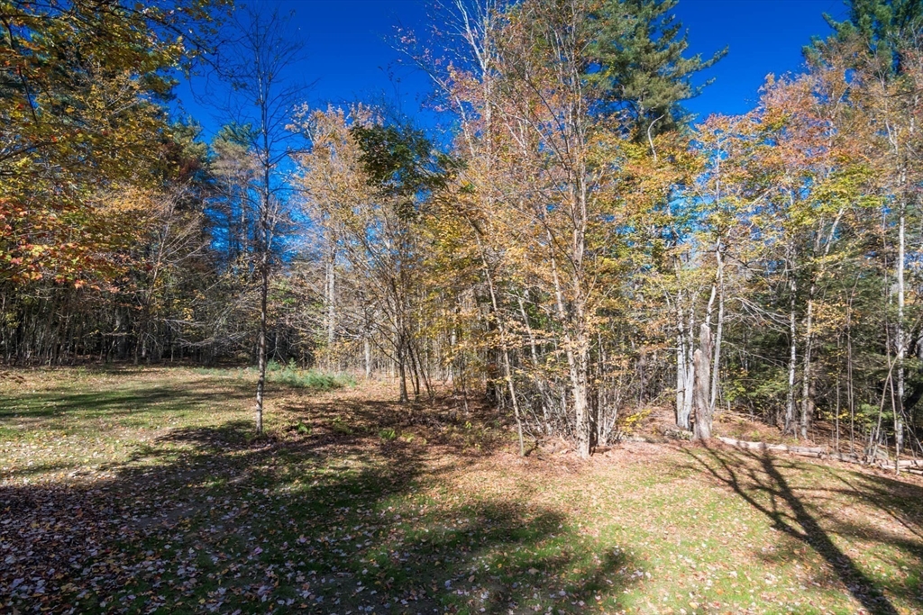 56 Ball Road Goshen, MA 01096 - Photo 9 of 33 a view of a yard with an trees