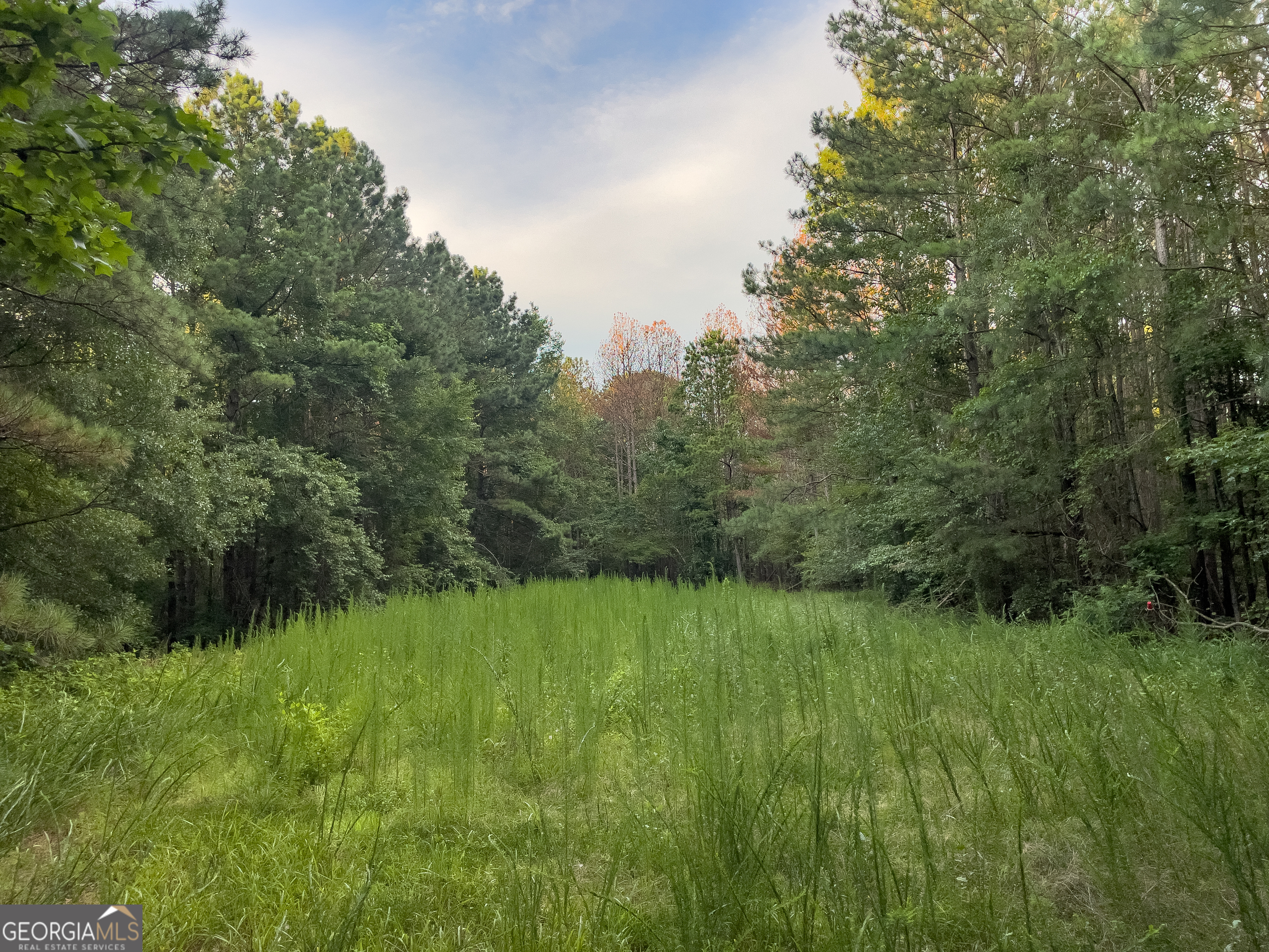 0 Caney Head Road Roopville, GA 30170 - Photo 10 of 22