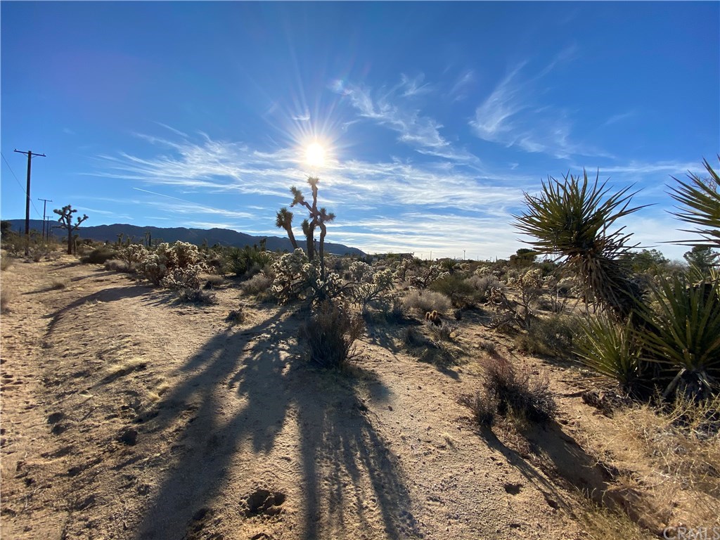6965 Sunnyhill Road Joshua Tree, CA 92252 - Photo 1 of 1