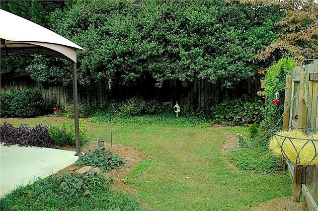 a view of a backyard with plants & tree