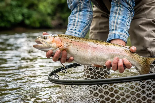 $2,300,000 | 120 Hardwood Court, Mineral Bluff, GA 30559