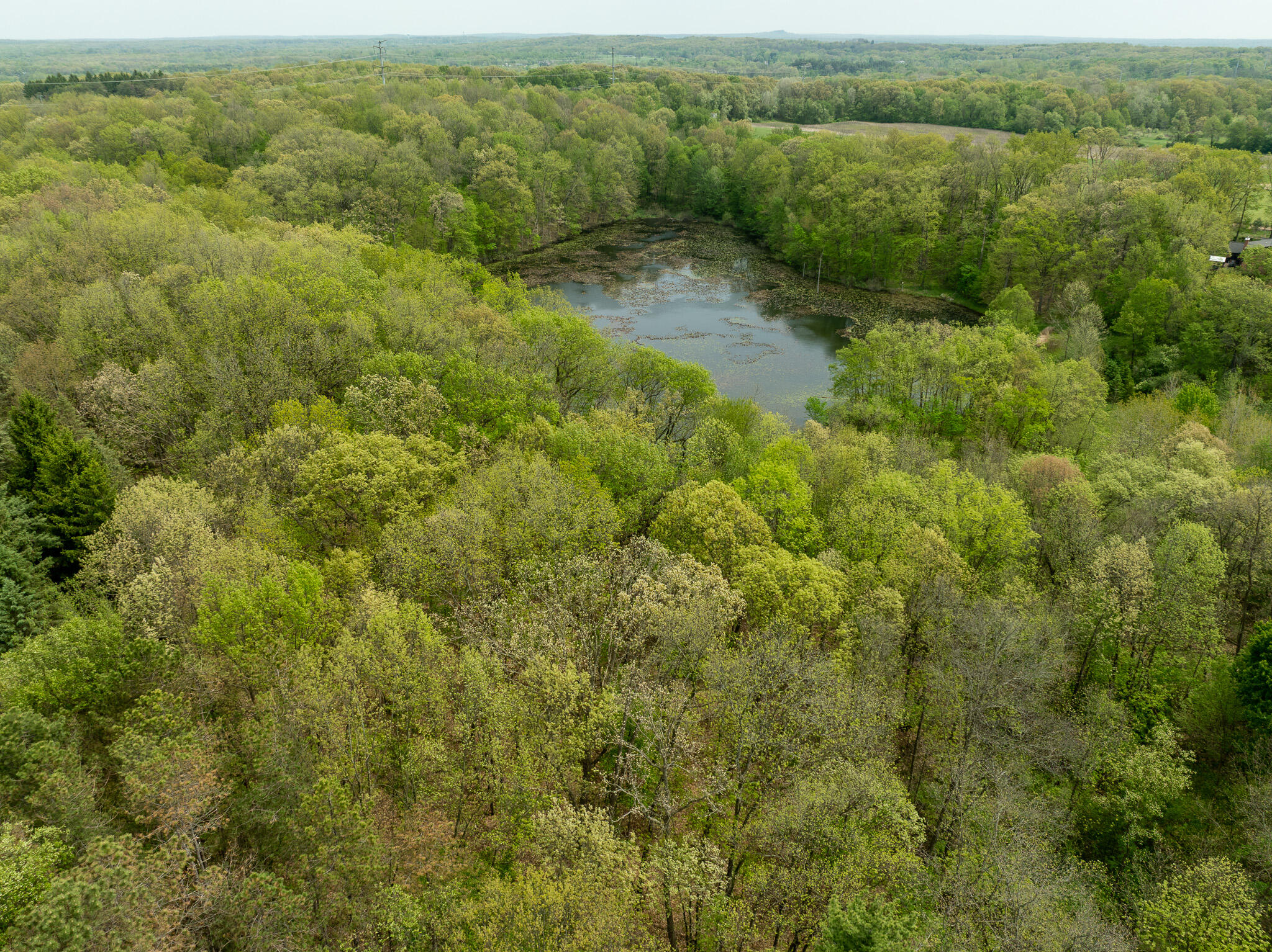 Tipsico Lake Road Fenton, MI 48430 - Photo 12 of 18 DJI_0310