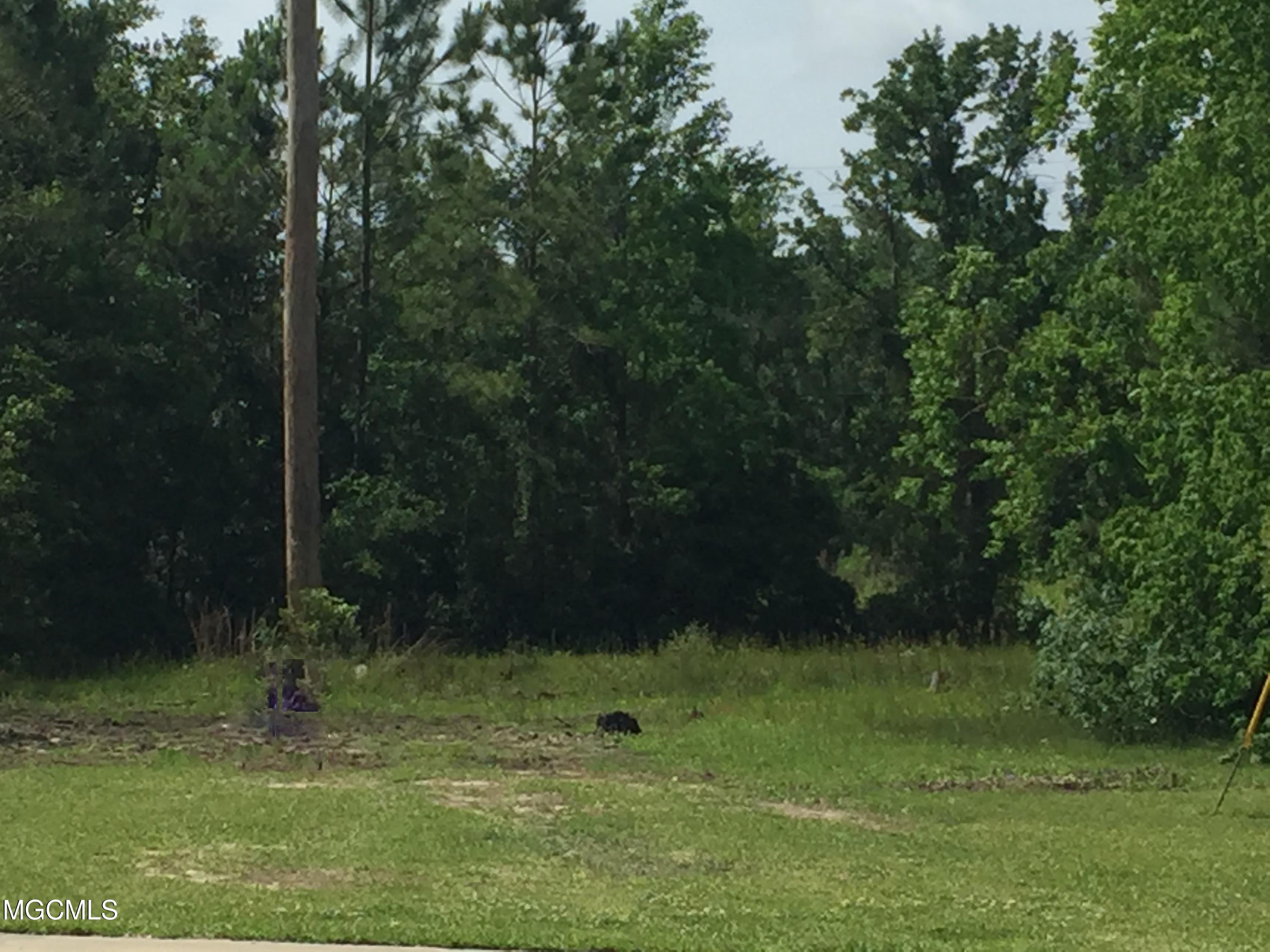 Porteaux Road Ocean Springs, MS 39564 - Photo 1 of 17 View from Porteaux Rd
