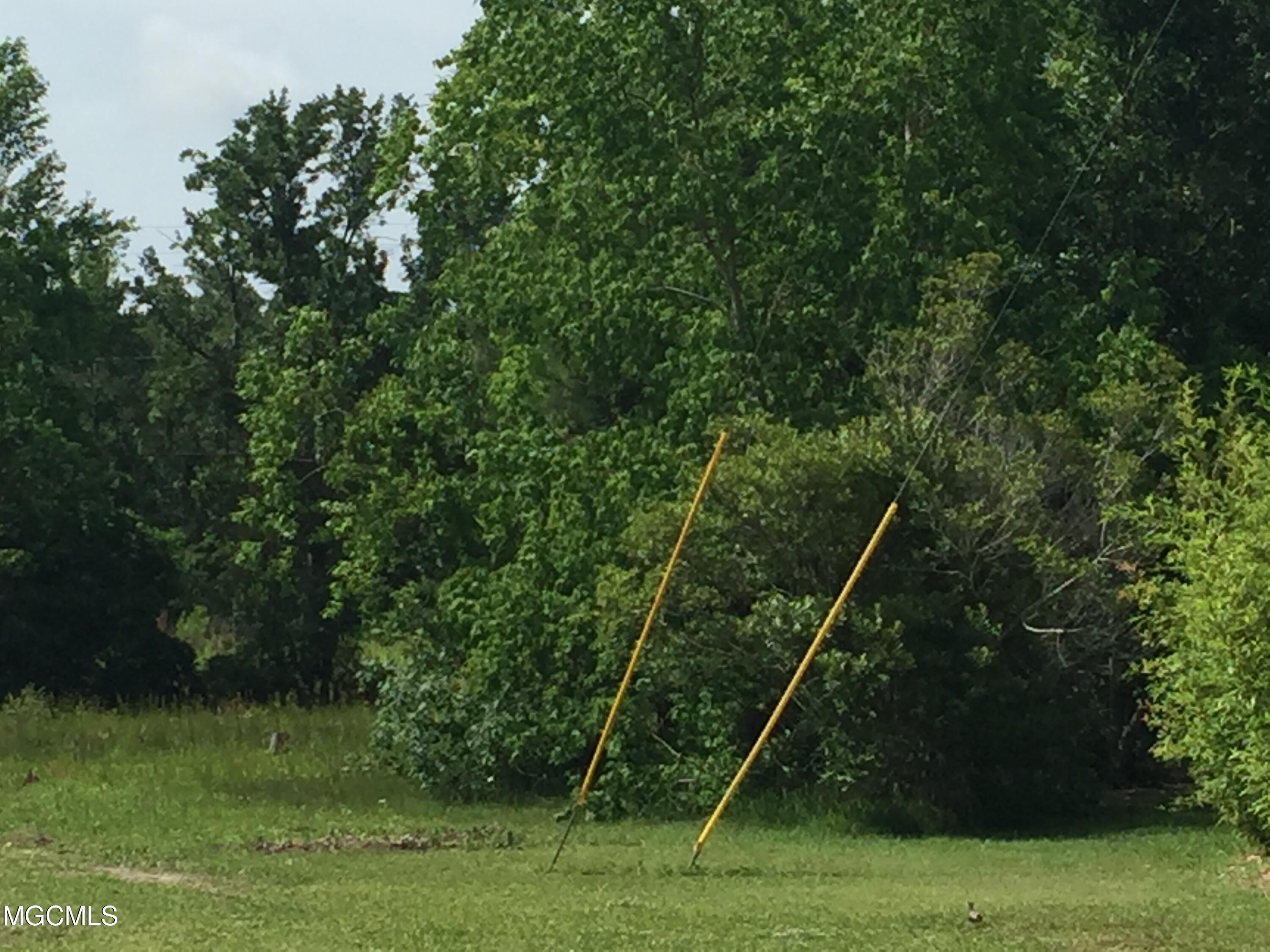 Porteaux Road Ocean Springs, MS 39564 - Photo 2 of 17 West Edge of Property on Porteaux