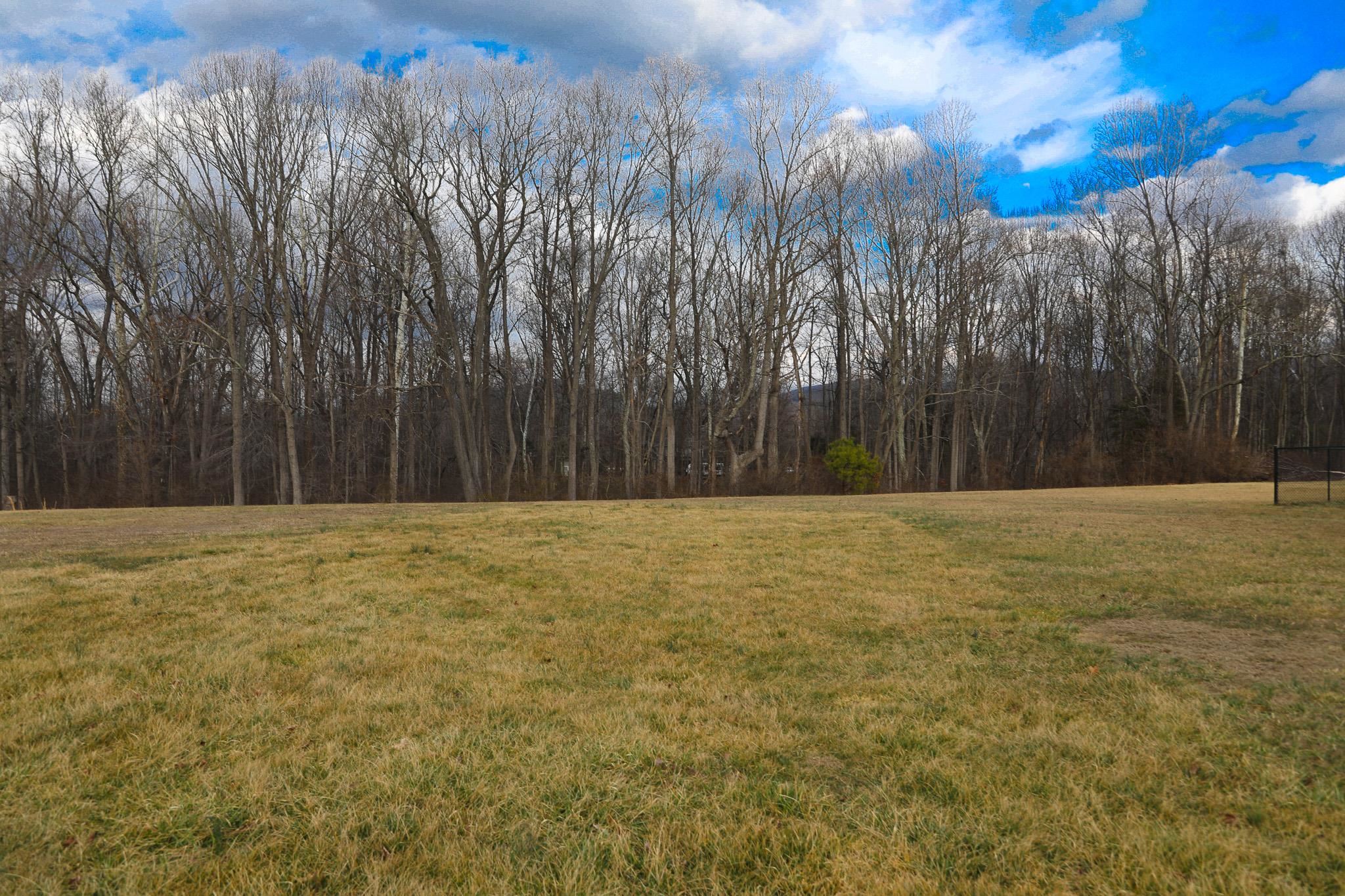 232 Mine Branch Road Crimora, VA 24431 - Photo 16 of 74