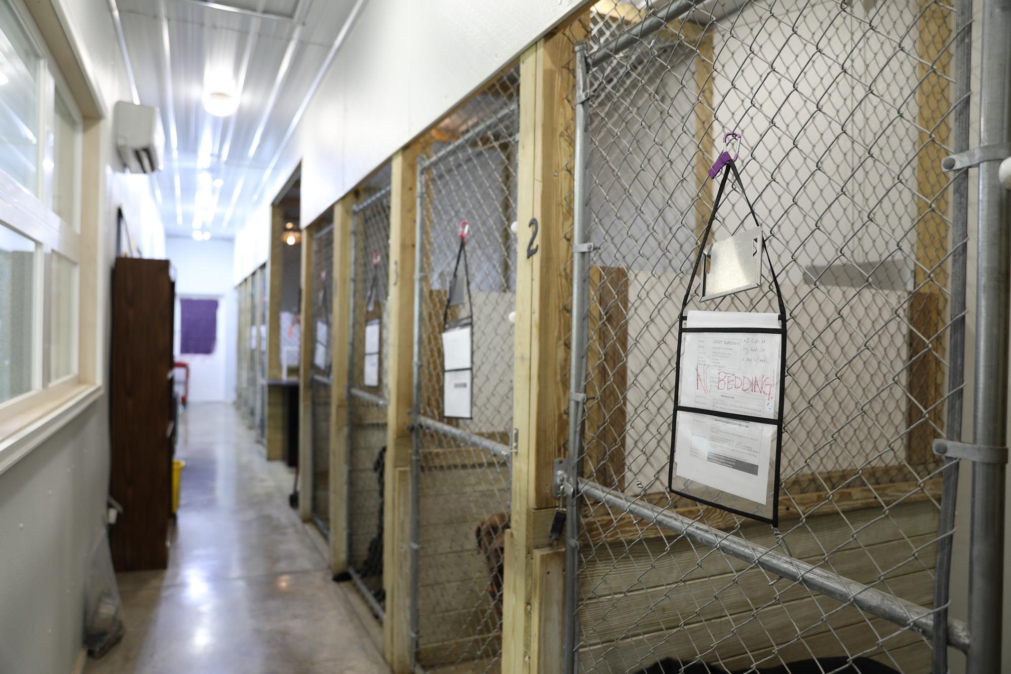 232 Mine Branch Road Crimora, VA 24431 - Photo 4 of 74