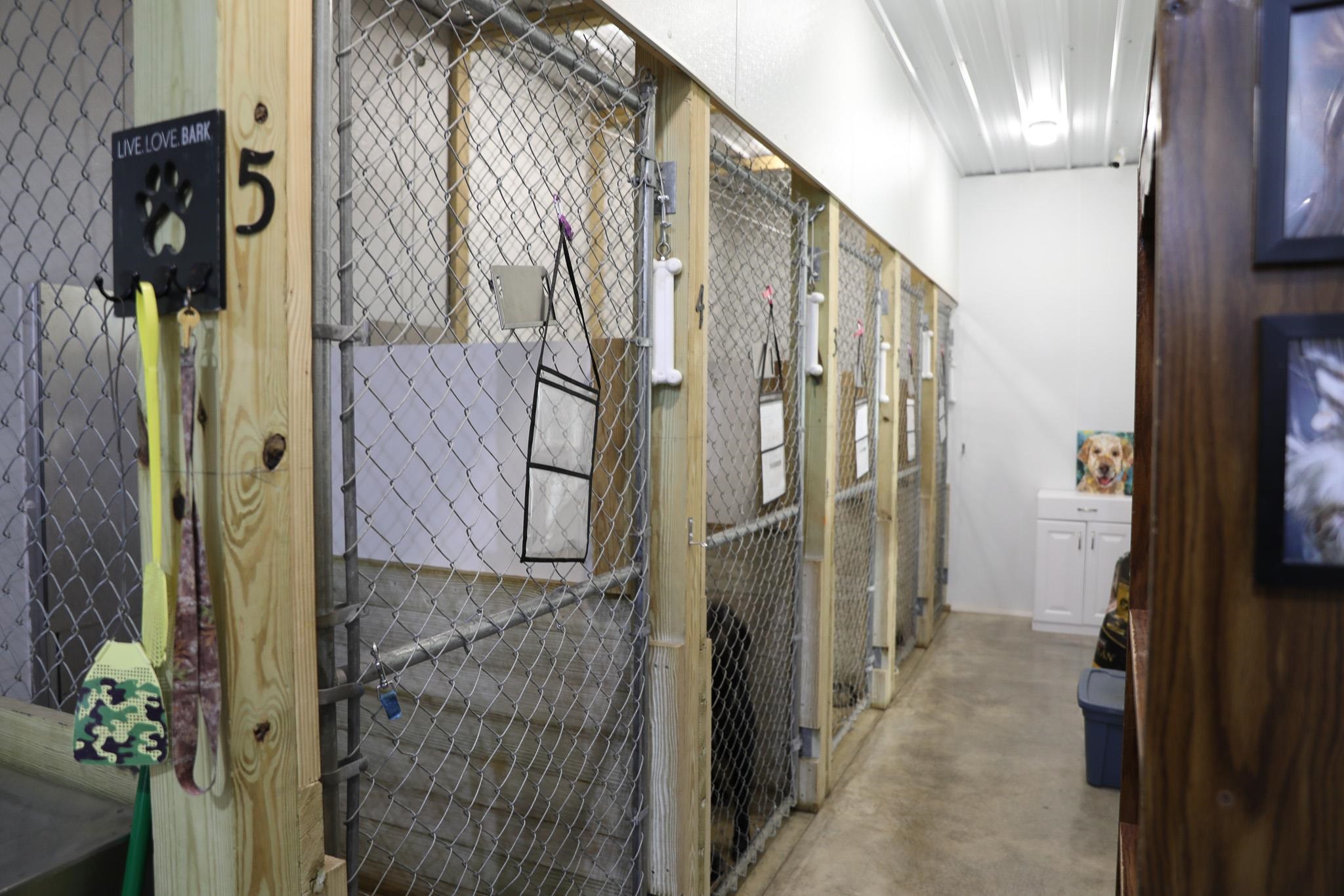 232 Mine Branch Road Crimora, VA 24431 - Photo 71 of 74