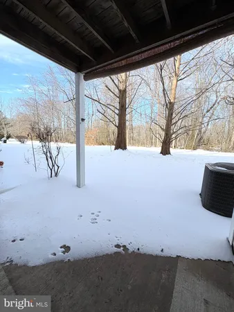 a view of backyard with large tree