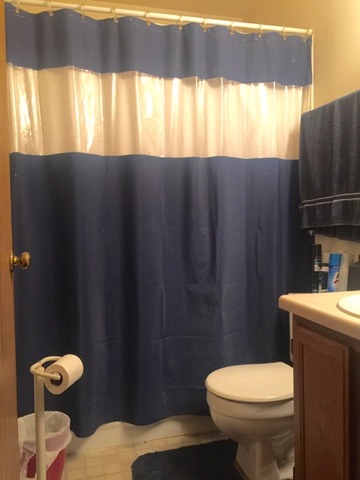 27 North Victoria Lane, Unit A Streamwood, IL 60107 - Photo 5 of 11