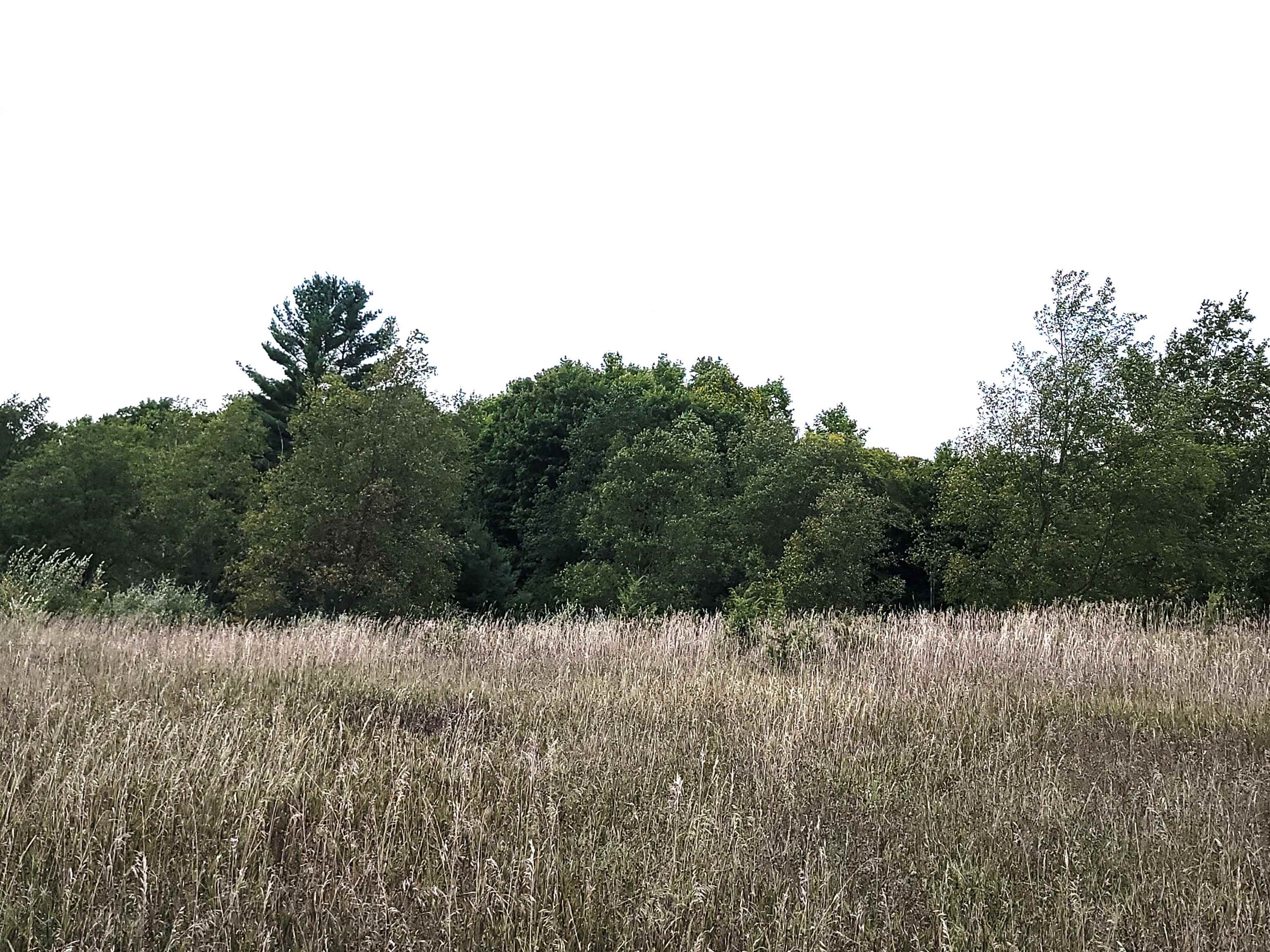 0 Plum Valley Road Northwest Alden, MI 49612 - Photo 13 of 18
