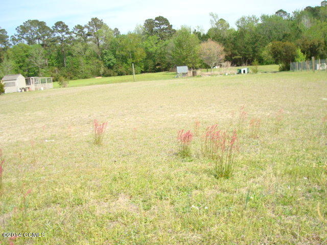 483 Nine Foot Road Newport, NC 28570 - Photo 3 of 4 DSC03150