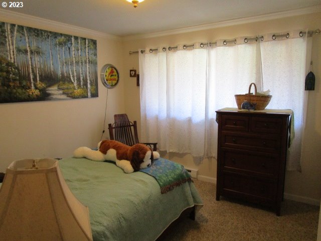 80452 Alston Mayger Road Clatskanie, OR 97016 - Photo 25 of 28 a bedroom with a bed and a dresser