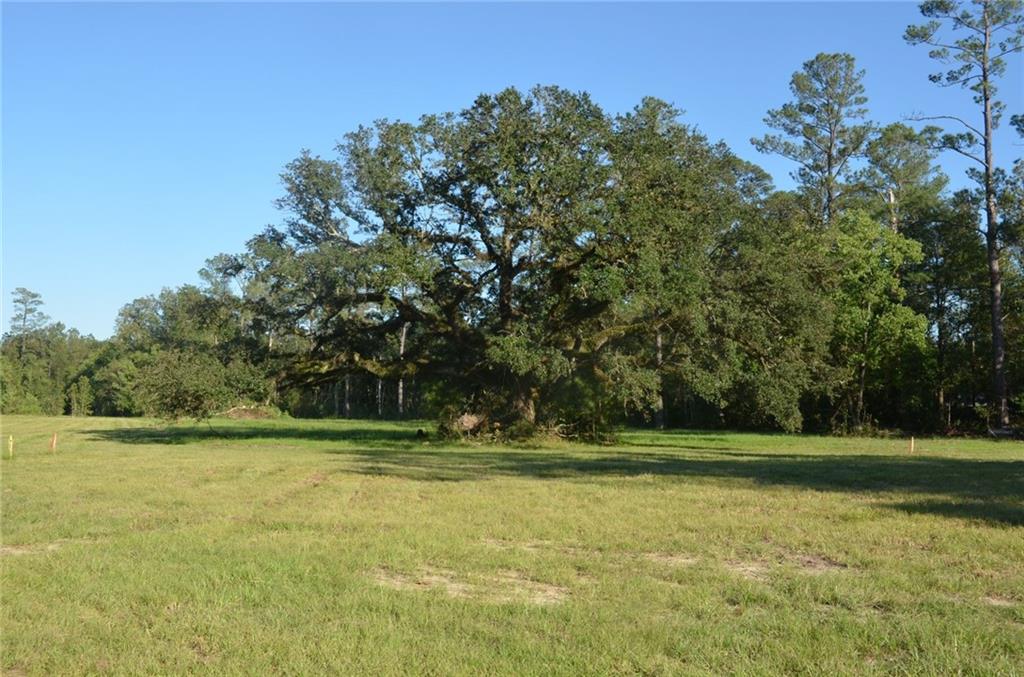 27476 Patterson Road Springfield, LA 70462 - Photo 2 of 3 Gallery Image 2