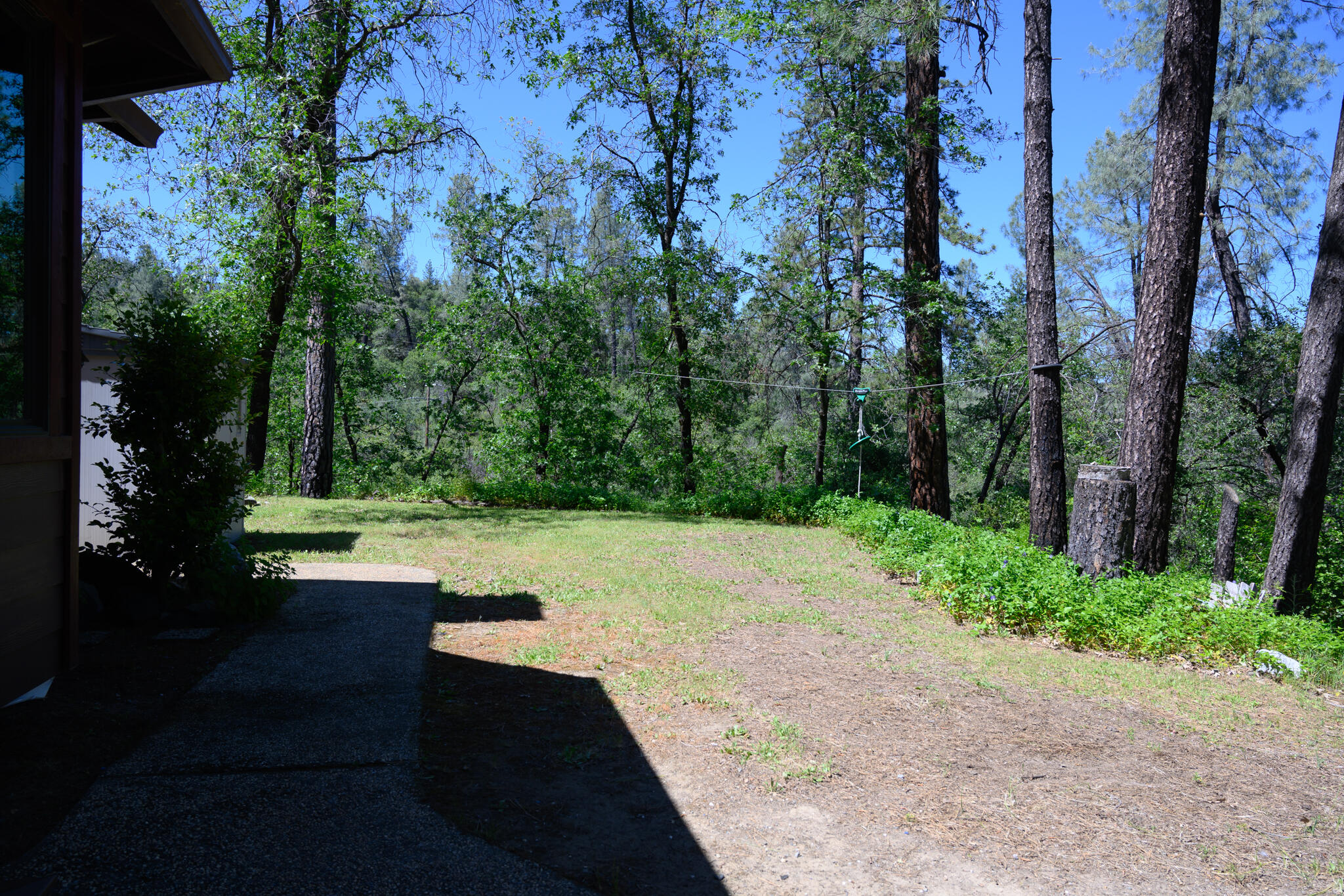 12866 Flint Creek Road Redding, CA 96003 - Photo 39 of 57 Front Yard Right